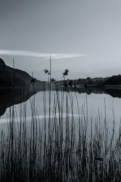 2018_05_06_Jura (0053b-w).jpg - Lac d'Etival, Jura (Mai 2018)